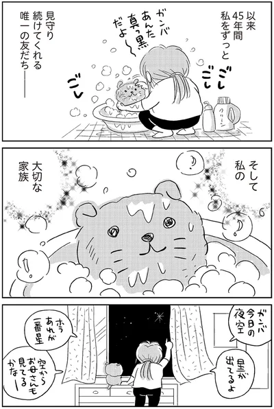 『ハルコの恋　55歳の私が35歳年下のアイドルを好きになったらダメですか？』より