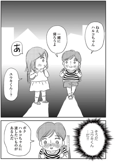 『ハルコの恋　55歳の私が35歳年下のアイドルを好きになったらダメですか？』より