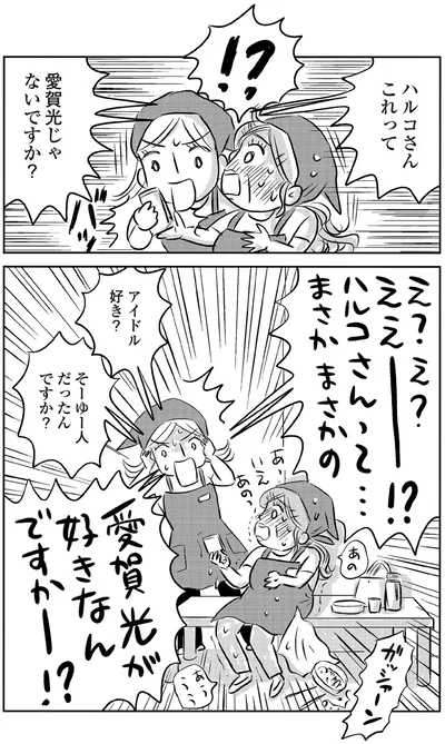 『ハルコの恋　55歳の私が35歳年下のアイドルを好きになったらダメですか？』より