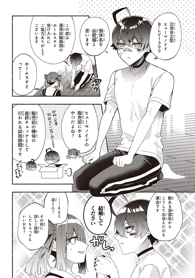 ホームステイって……