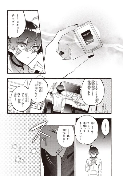 ……メモリーチップ？