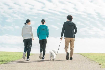 ふらりと出かけたくなる！履き心地と疲れにくさにこだわったウォーキングシューズ3選