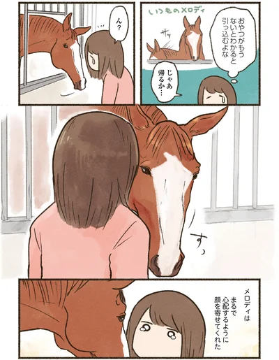 『馬に乗らずにいられない！　続かない私、乗馬が趣味になりました』より