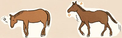 『馬に乗らずにいられない！　続かない私、乗馬が趣味になりました』より