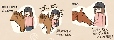 『馬に乗らずにいられない！　続かない私、乗馬が趣味になりました』より