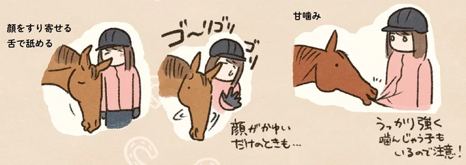『馬に乗らずにいられない！　続かない私、乗馬が趣味になりました』より