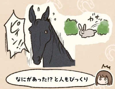 『馬に乗らずにいられない！　続かない私、乗馬が趣味になりました』より