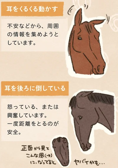 『馬に乗らずにいられない！　続かない私、乗馬が趣味になりました』より