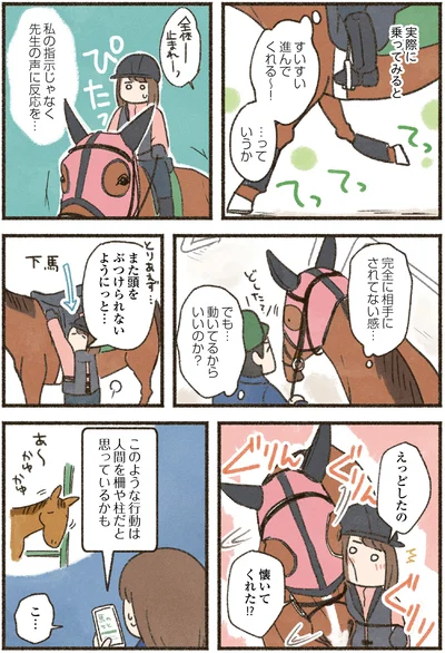 『馬に乗らずにいられない！　続かない私、乗馬が趣味になりました』より