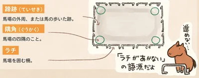 『馬に乗らずにいられない！　続かない私、乗馬が趣味になりました』より