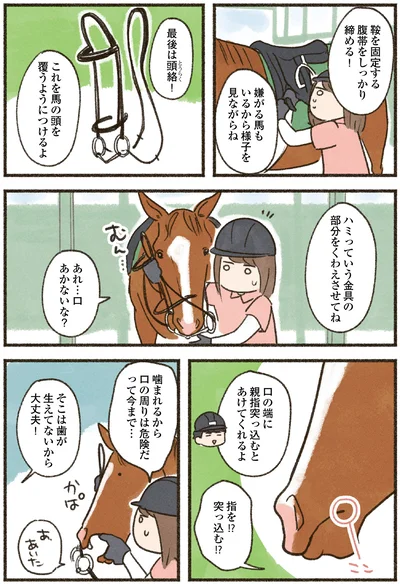 『馬に乗らずにいられない！　続かない私、乗馬が趣味になりました』より