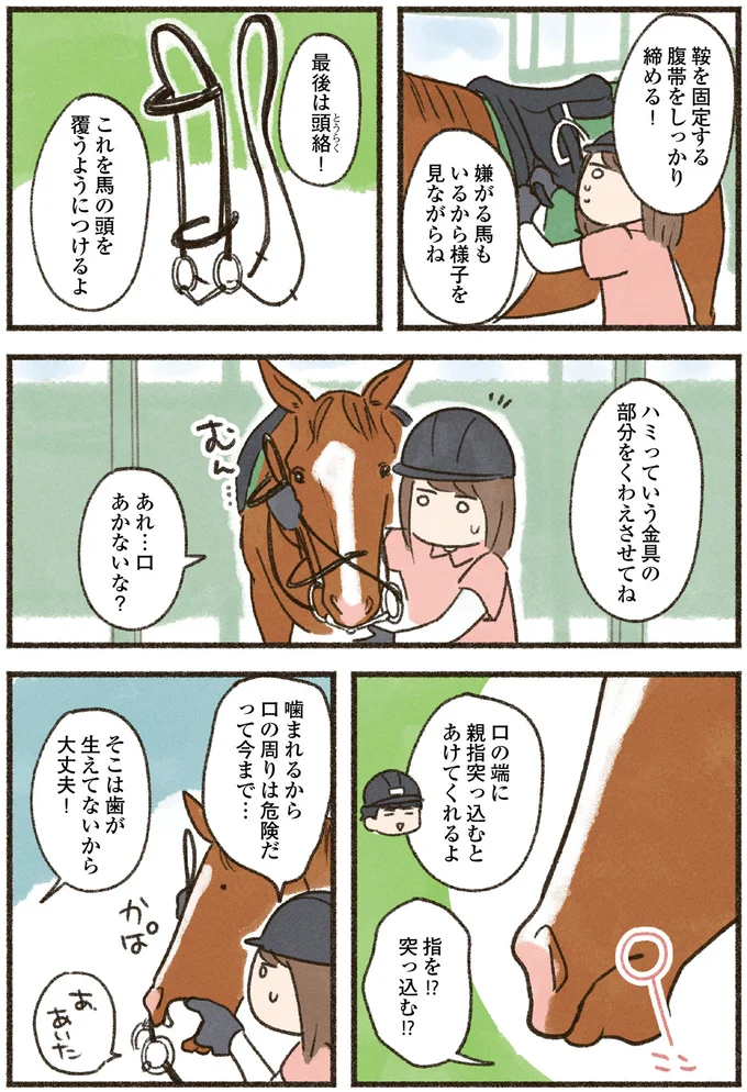 『馬に乗らずにいられない！　続かない私、乗馬が趣味になりました』より