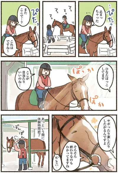 ひなたぼっこしてます