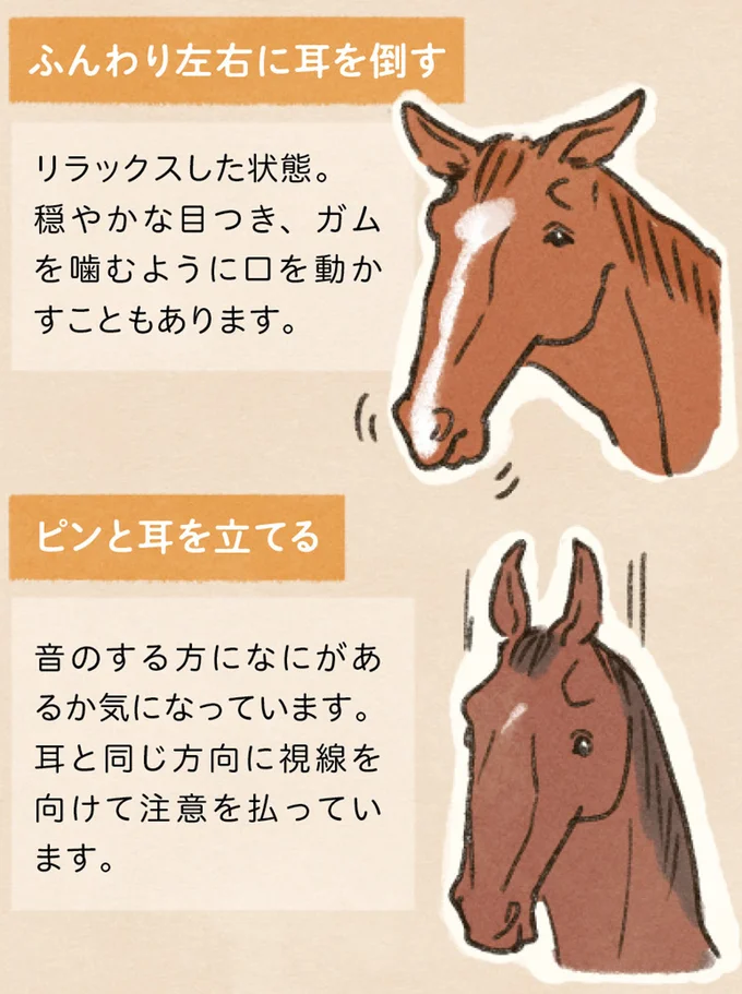 馬の気持ち
