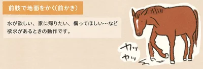 前肢で地面をかく