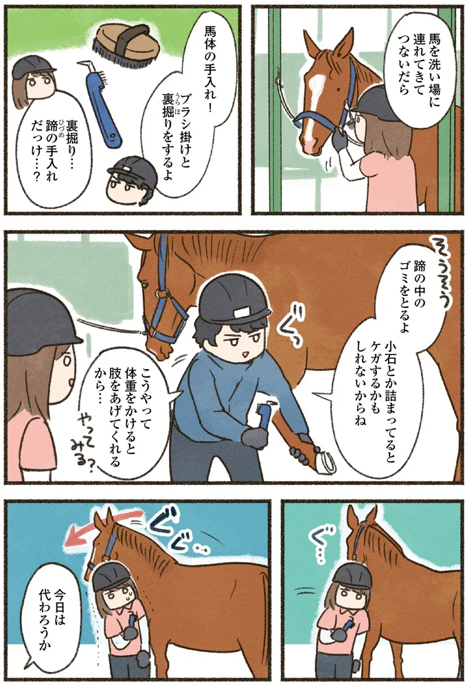 馬体の手入れ！