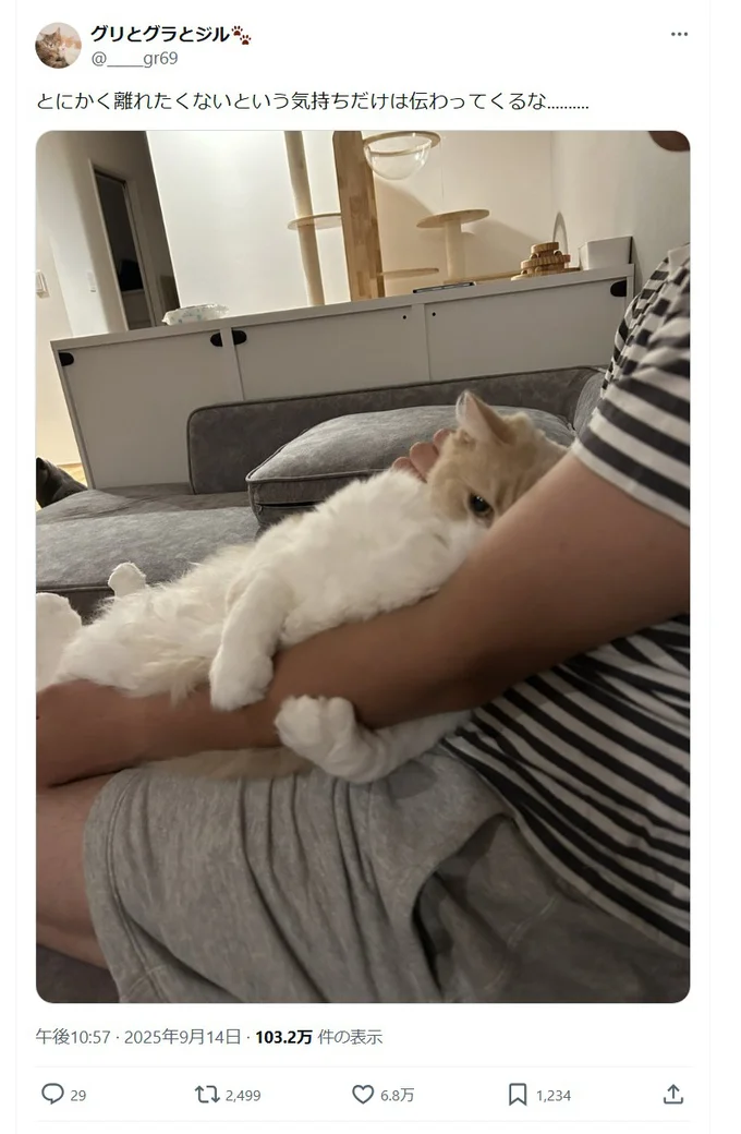 離れたくない…▶圧がすごい…（⇒次へ）
