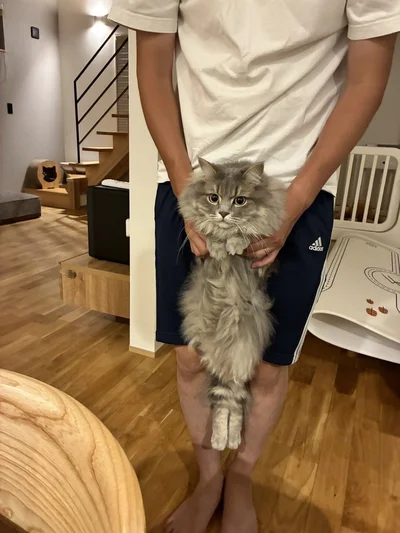 捕まったグリくん▶威風堂々（⇒次へ）