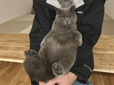 腕にすっぽり収まるジルくん▶とろけてる～（⇒次へ）