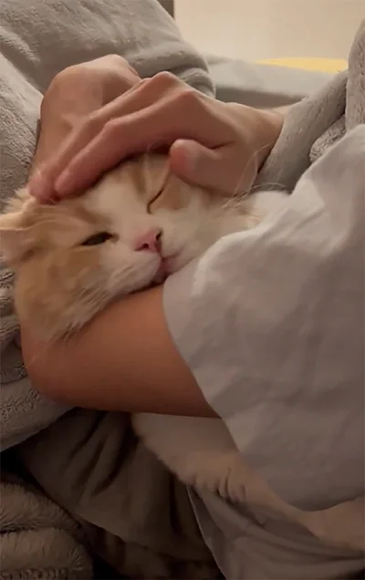 完全にとろけちゃってる顔▶腕にすっぽり！（⇒次へ）