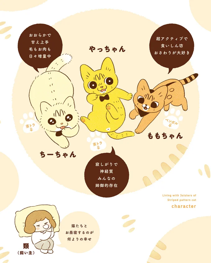 『しまねこ3姉妹と暮らしています 深まるきずな編』より