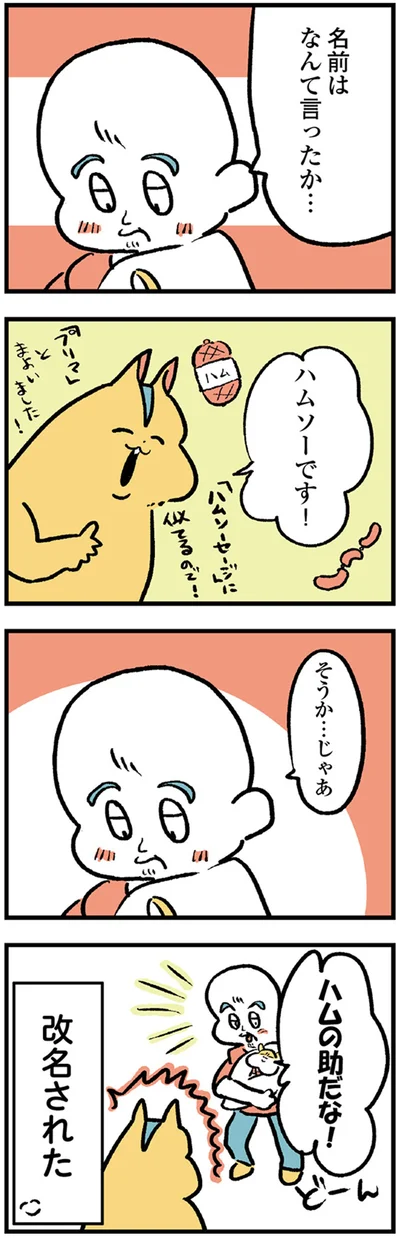 名前はなんて言ったか…