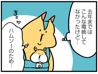 去年まではこんな電飾してなかったけど…