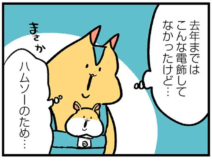 まさか息子のため？大家さんの庭に見慣れないクリスマスの電飾