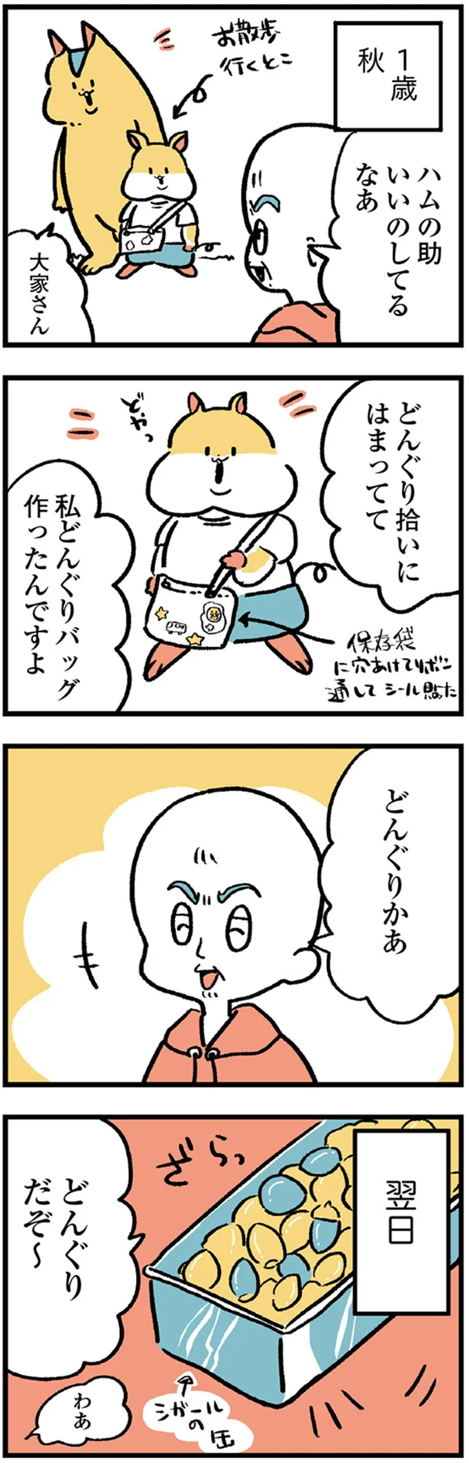 どんぐり拾いにはまってて