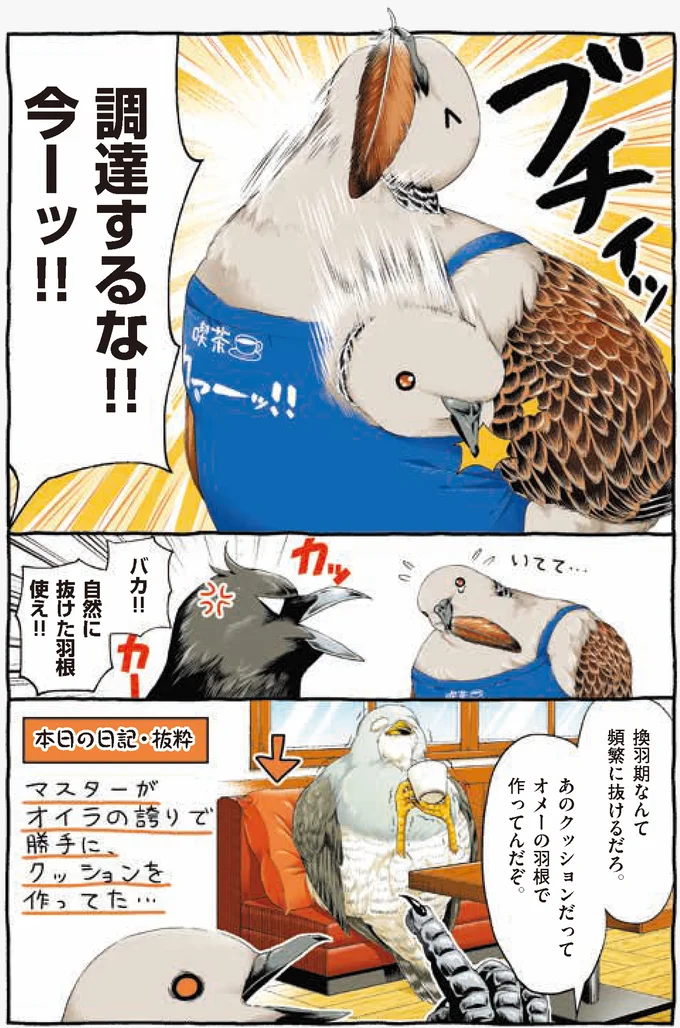 『キジバトくん日記』より