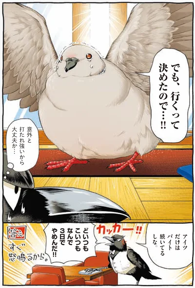 『キジバトくん日記』より