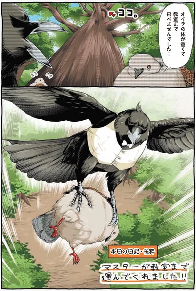 『キジバトくん日記』より