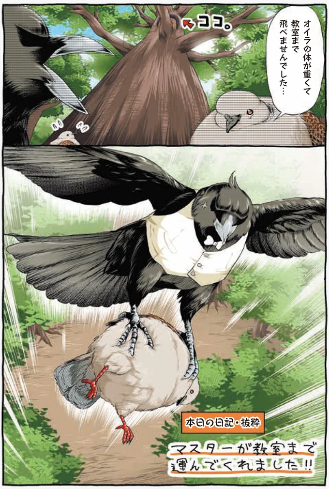 『キジバトくん日記』より