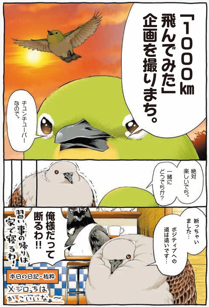 『キジバトくん日記』より