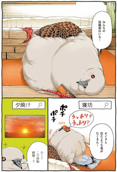『キジバトくん日記』より