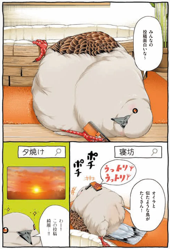 『キジバトくん日記』より