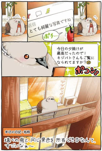 『キジバトくん日記』より