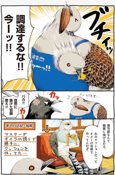 自然に抜けた羽根使え！！