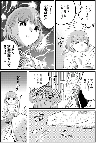 日本の家庭料理なんて初では…？