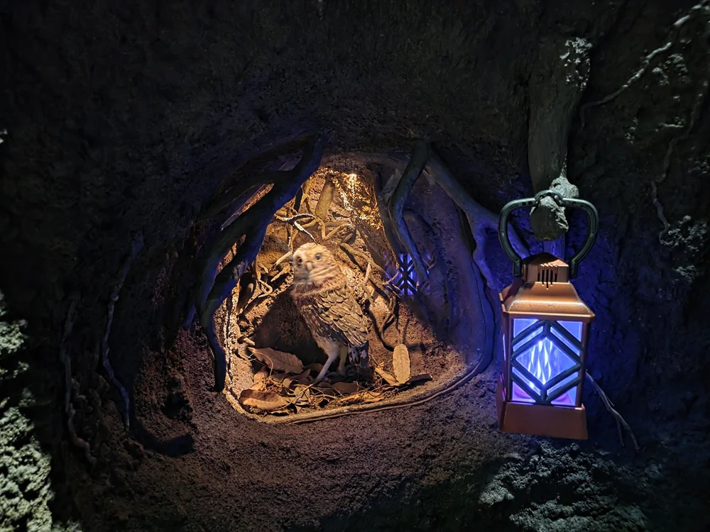 ありがとう、さようなら万博！大阪・関西万博体験が「一生モノ」なワケ