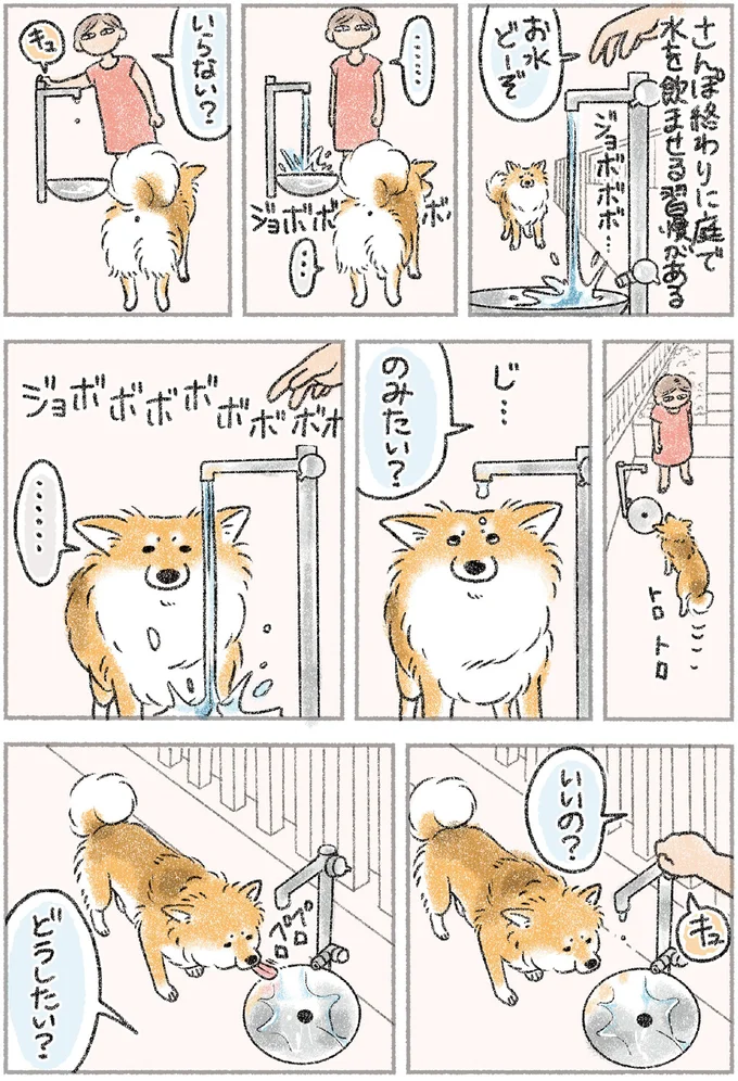 『犬を揉む -ぺちょら… ときどき 帰宅拒否-』より