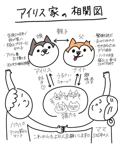 実は猫ちゃんも4匹います！▶ひょうきんなお顔のアイリスちゃん（⇒次へ）