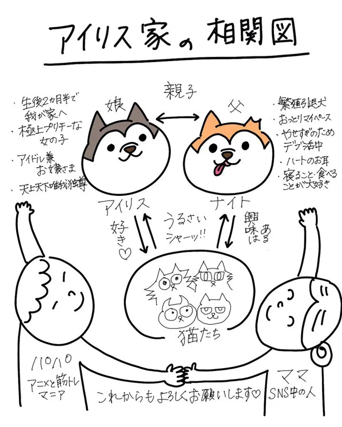 実は猫ちゃんも4匹います！▶ひょうきんなお顔のアイリスちゃん（⇒次へ）