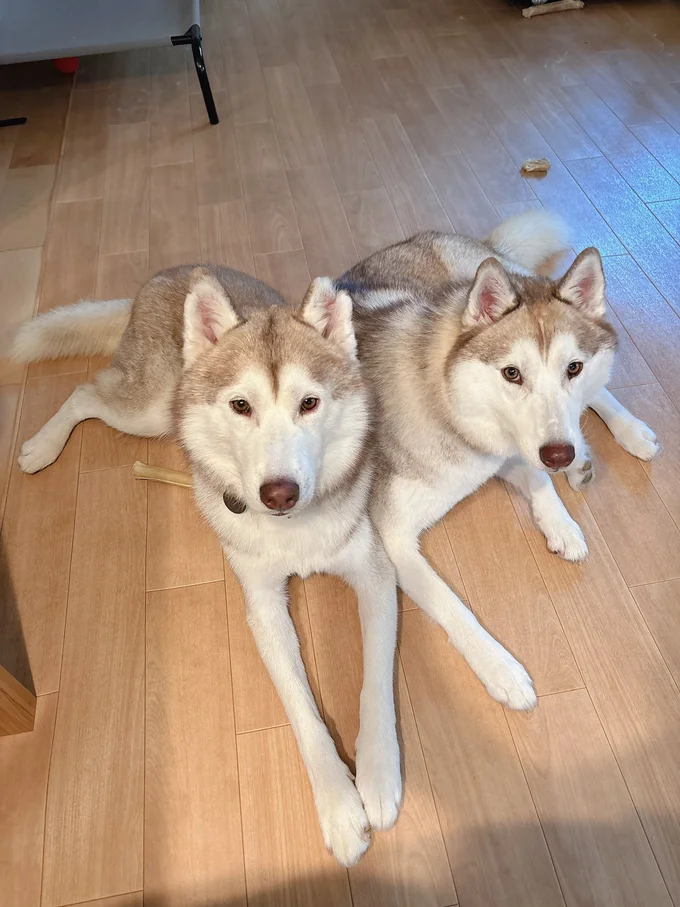 変顔とのギャップが激しいおふたり▶仲良し父娘のツーショット（⇒次へ）