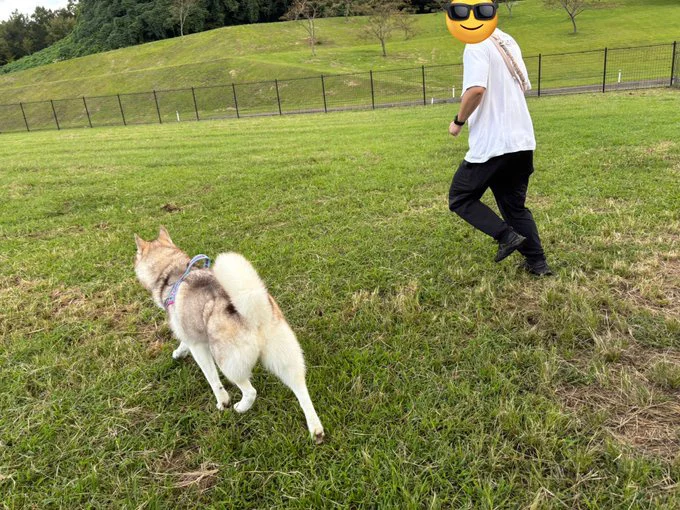 ドッグランでのびのび♪▶あれ？パパさんが遠い（⇒次へ）