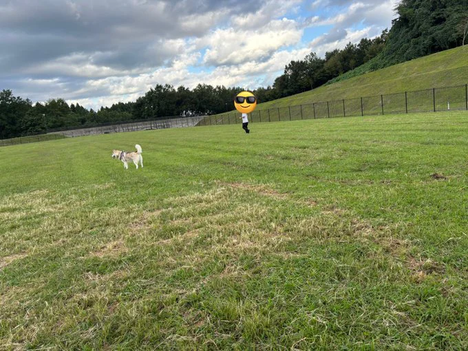 止まるアイリスちゃん▶日に日にそっくりになってきた（⇒次へ）