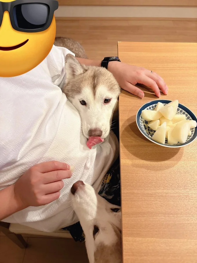 一緒にいると行動も似てくる▶クンクン…においの正体は！？（⇒次へ）