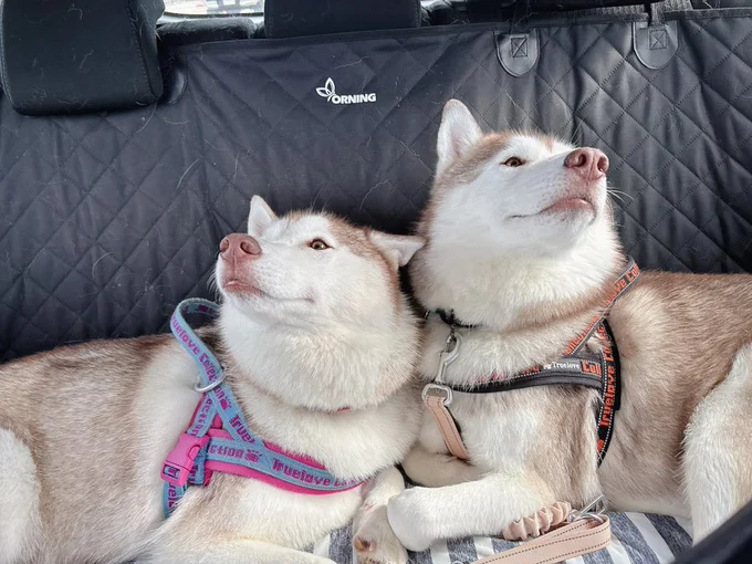 ナイトくんのおならです▶ケンカ中のふたり（⇒次へ）