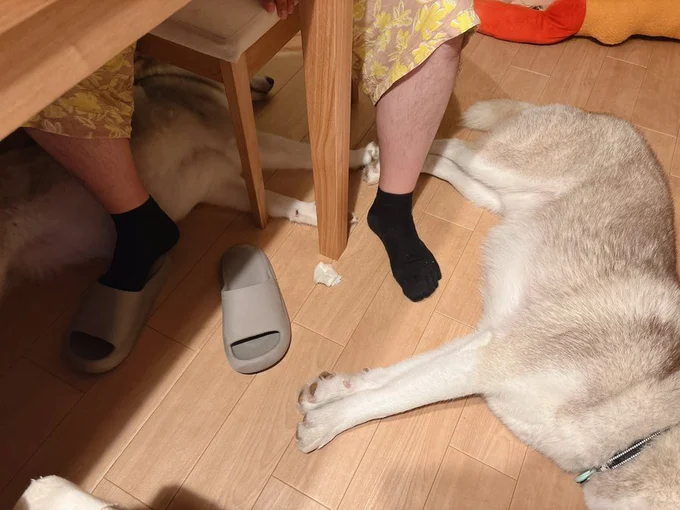 ここが落ち着く～！▶パパさん「走るぞ！お前たち！」（⇒次へ）