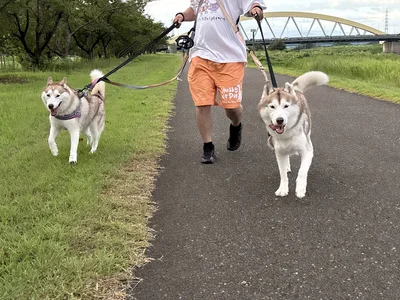 ナイトくんはママまっしぐら▶ナイトくんに怒られてる時のアイリスちゃんの顔（⇒次へ）